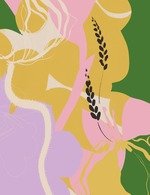 Cc51 150 0x35x944x1227 q85