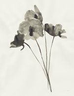 Web bouquet 150 40x0x1538x1999 q85