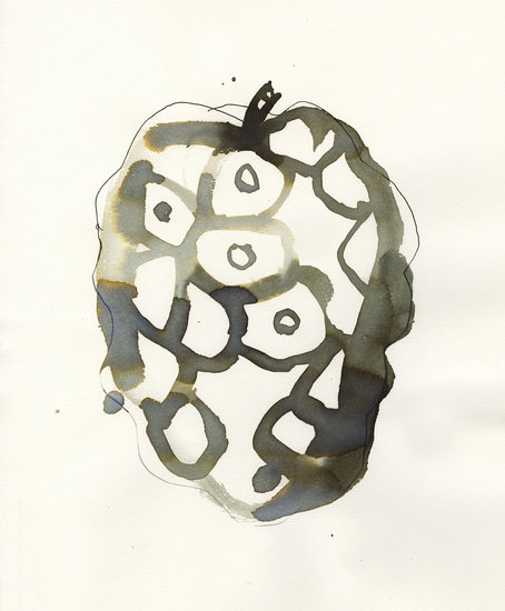 Web stinkyfruit 454 xxx q85