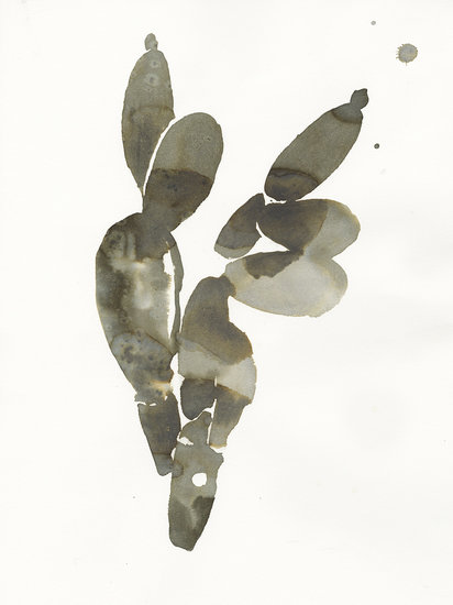 Web lady cactus  412 xxx q85