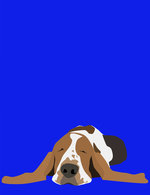 Bassetthound lores 150 0x35x719x936 q85