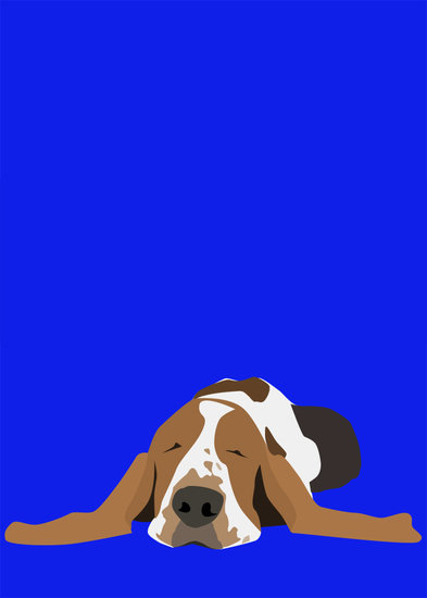 Bassetthound lores 393 xxx q85