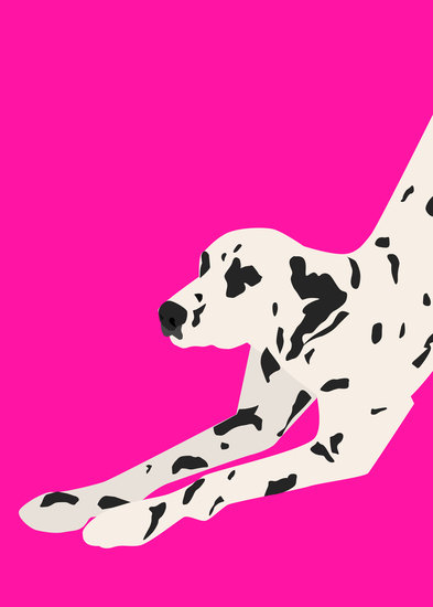 Mrdog16 1 393 xxx q85