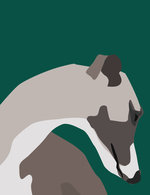 Mrdog19 150 0x143x1439x1871 q85