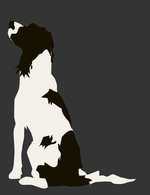 Mrdog21 150 0x7x764x993 q85