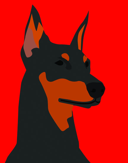 Mrdog3 2 432 xxx q85