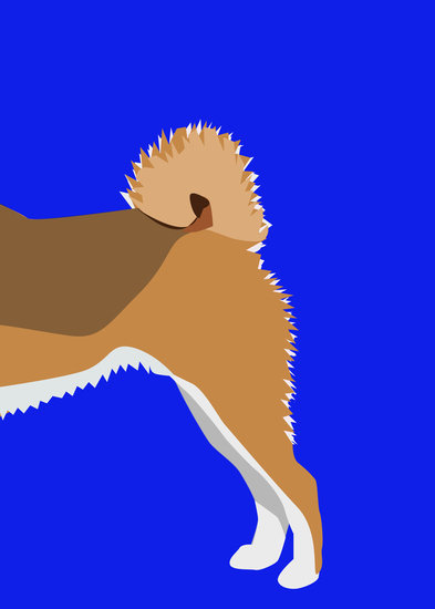 Mrdog18 2 393 xxx q85