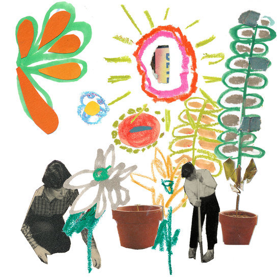 04neborsky 550 xxx q85