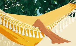 Dive palm springs spiroshalaris illustration 320 0x248x4960x3026 q85