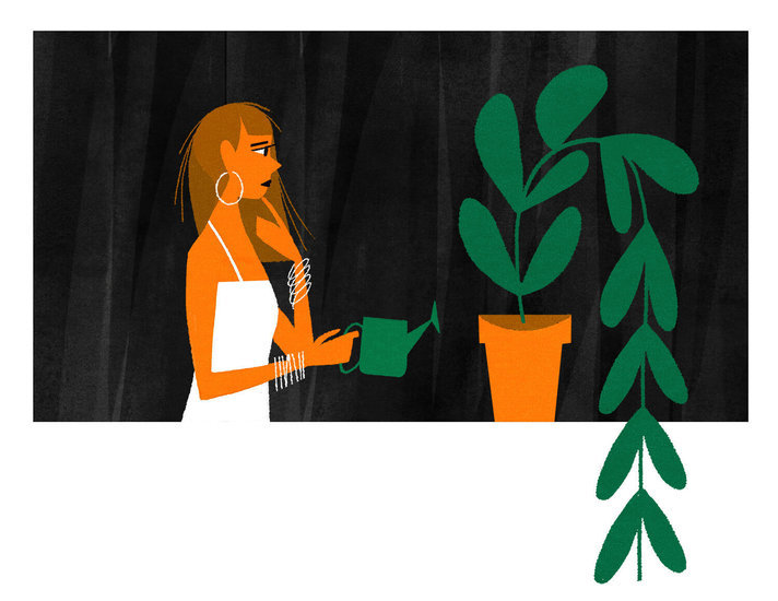 Kf nytimes plant 712 xxx q85