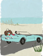 Wsjhamptons copy 150 0x10x383x499 q85