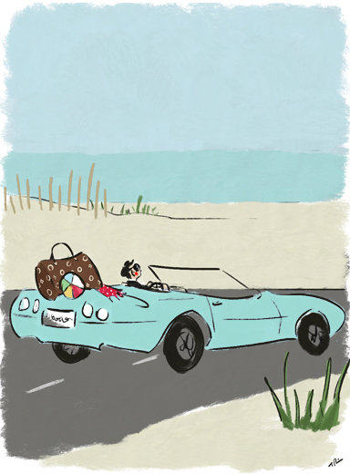 Wsjhamptons copy 406 xxx q85