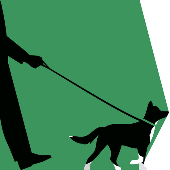 Ben wiseman dog walking 550 xxx q85