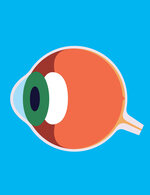 Ben wiseman eye diagram 150 70x0x1363x1772 q85