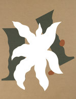 Rfalvarez 17 150 167x87x2249x2924 q85