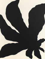 Rfalvarez 25 150 235x163x2861x3719 q85