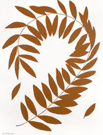 Rfalvarez 28 150 191x231x2856x3713 q85