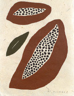 Rfalvarez 29 150 905x430x2950x3834 q85