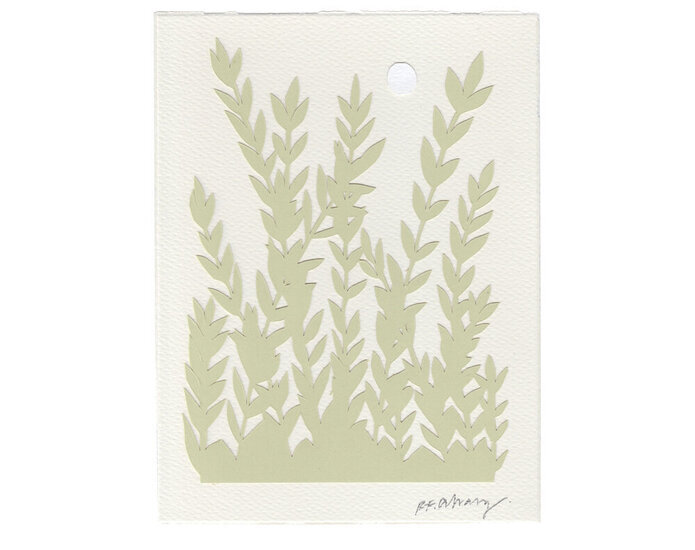 Rfalvarez 38 695 xxx q85