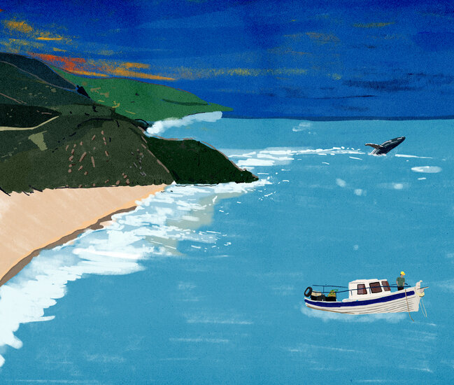 High life 1 649 xxx q85