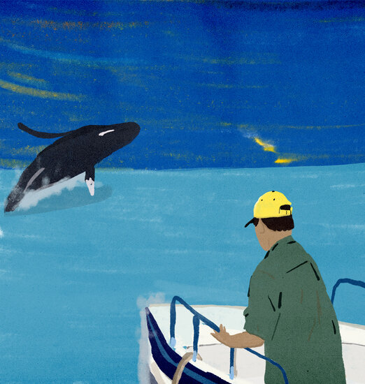 High life 2 522 xxx q85