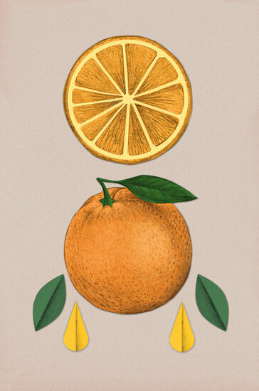 Baraja 2oros 364 xxx q85