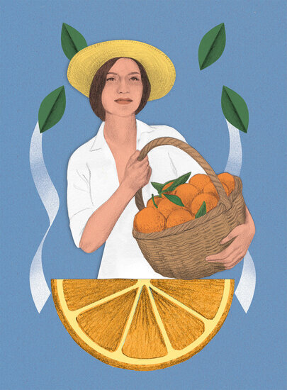 Baraja sota oros copia 405 xxx q85