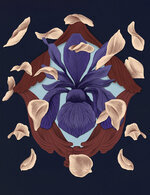 Lazo2 150 75x0x1349x1754 q85