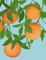 Lazo6 150 93x0x1316x1711 q85