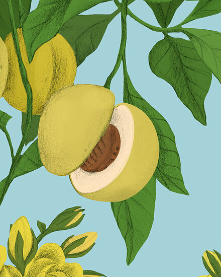 Lazo10 s 440 xxx q85