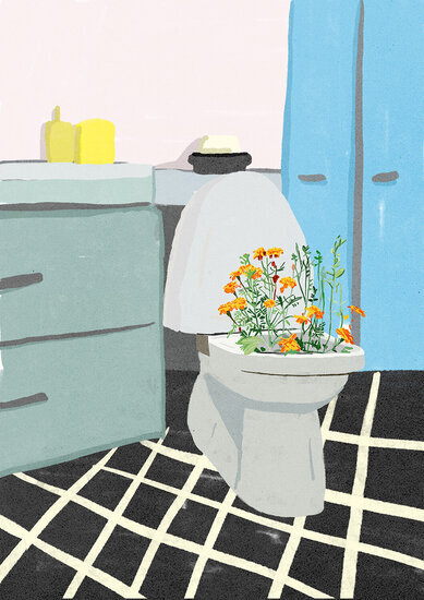 Toilet flowers  389 xxx q85