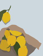 Kk81 150 0x717x4499x5855 q85