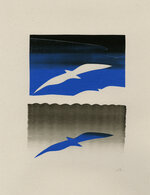 Imaginary bird view 04 150 135x145x2735x3555 q85