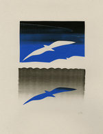 Imaginary bird view 04 150 145x213x2765x3594 q85