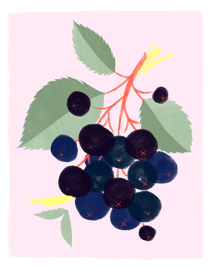 Aroniaberries hd 433 xxx q85