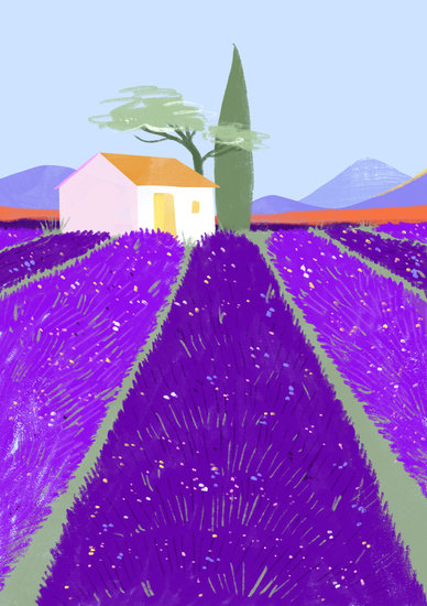 Lavender hd 388 xxx q85