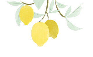 Lemonsxrealsimple 1 320 106x0x1779x1084 q85