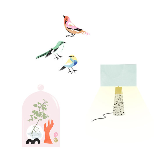 Realsimplebirds 550 xxx q85