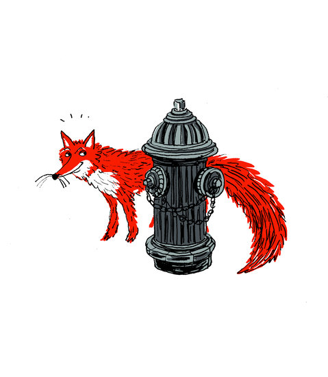 Joana avillez illustrationdivision 048 479 xxx q85