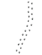 Pawprints 150 0x0x2698x3508 q85
