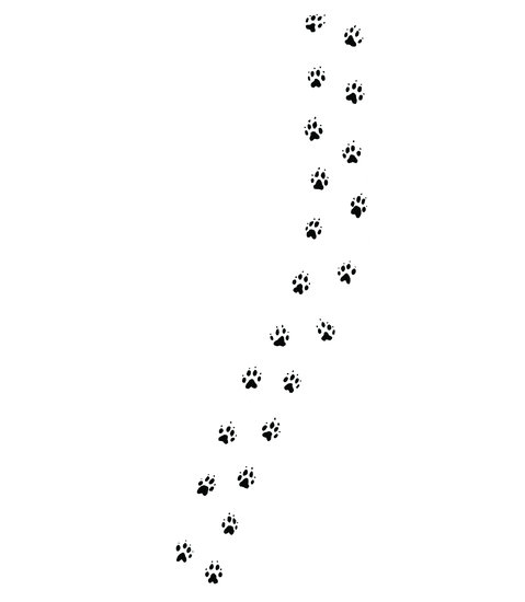 Pawprints 479 xxx q85