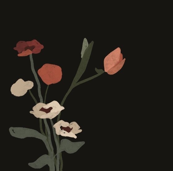 Kkim 023 559 xxx q85