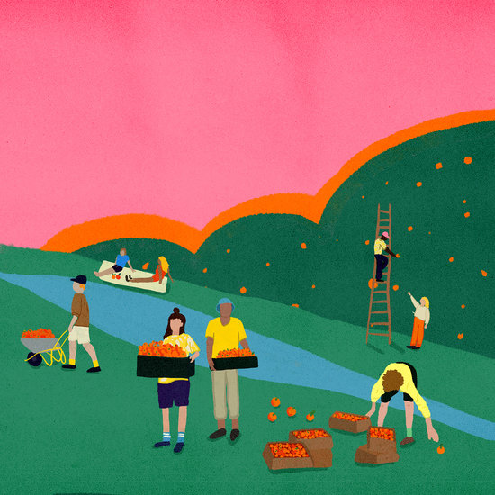 Culture of solidarity cookie moon 550 xxx q85