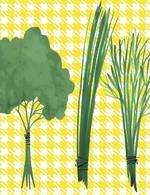 Annika huett 01 page 25 150 0x17x1139x1482 q85