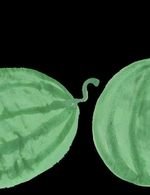 Annika huett 01 page 30 150 0x11x736x958 q85