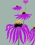 Annika huett 01 page 33 150 0x14x943x1228 q85