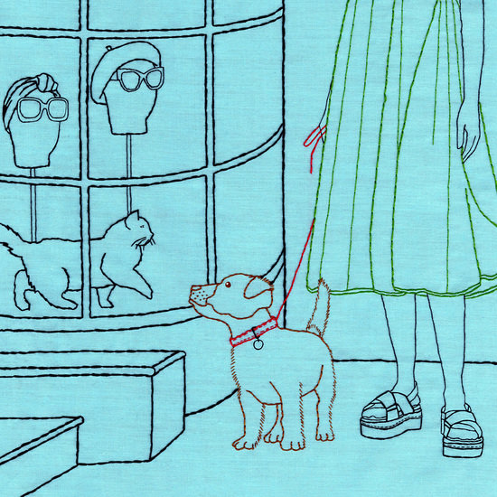 Catdog 2000 550 xxx q85