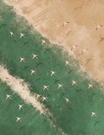 Klar stor 150 43x0x1076x1399 q85