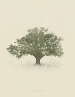 Burr oak 150 0x49x999x1300 q85