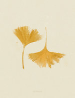 Ginkgo 150 0x49x999x1300 q85